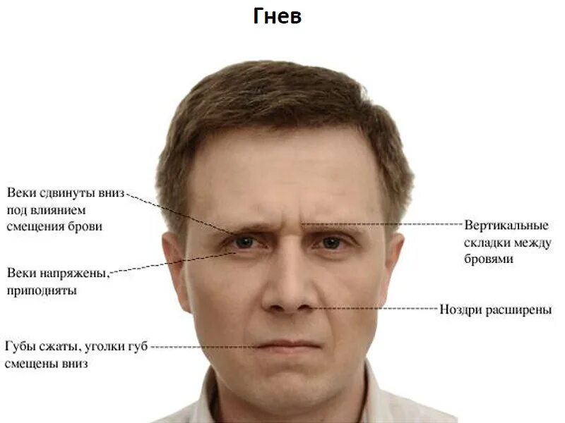 Внешность говорящего. Физиогномика лица. Черты лица человека. Черты лица злого человека. Физиогномика черты лица.