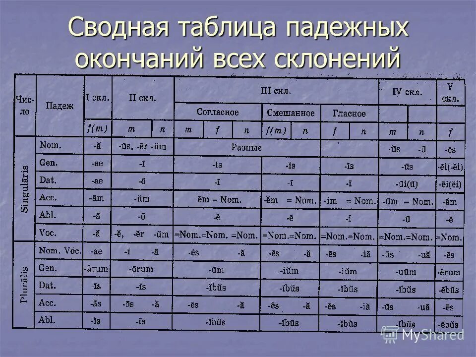 Нормальный латынь. Таблица падежных окончаний. Латинский таблица падежных окончаний. Сводная таблица падежных окончаний. Падежные окончания склонений таблица.