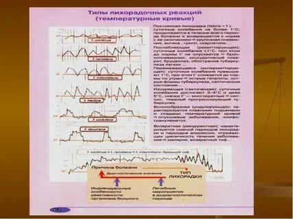 Типы лихорадочных реакций