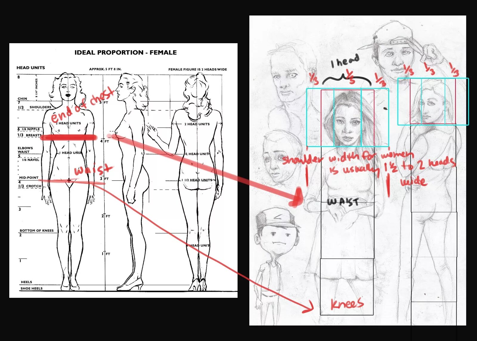 Рисунок тела профессионала. Мужская фигура пропорции. Confidence interval for standard deviation. Пропорции человека для художников. Population proportion.