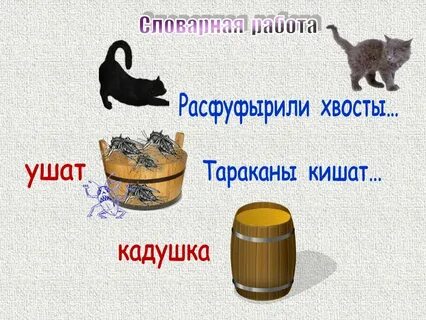 Хвост сита