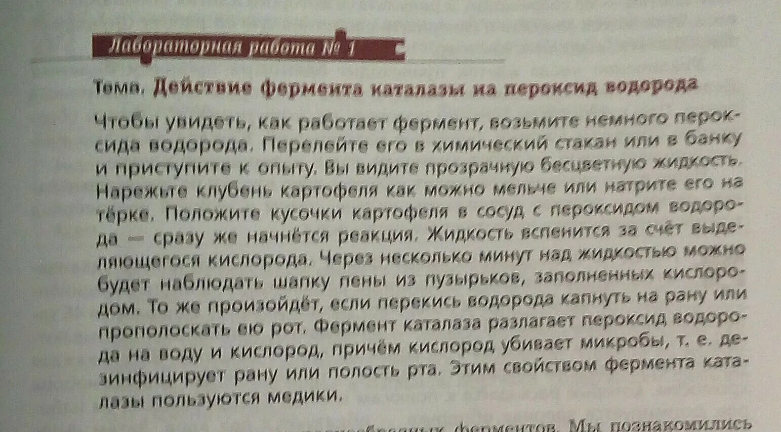 Лабораторная работа действие пероксида водорода на каталазу. Действие каталазы на пероксид водорода лабораторная работа. Лабораторная работа расщепление пероксида водорода. Действие фермента каталазы на перекись водорода лабораторная работа. Пероксид водорода и картофель