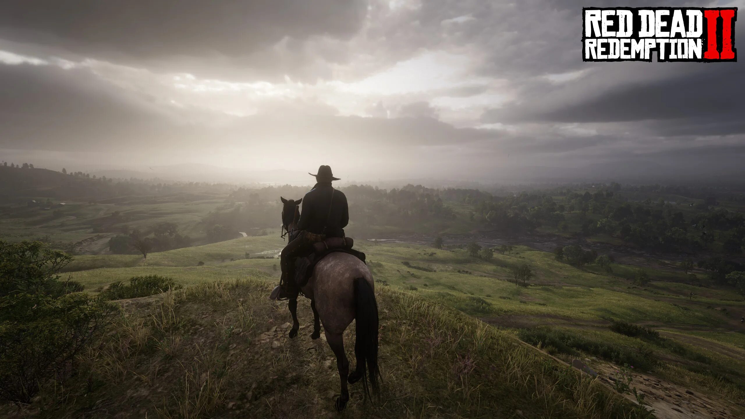 Red dead redemption 2 rip. Ред дед редемпшн 2. red dead redemption 4. red dead redemption 2 магазины. red dead redemption 2 1907.