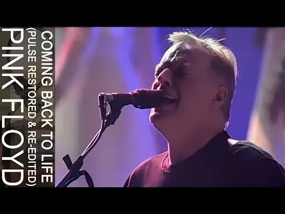Back to life песня. Винил pink floyd division bell. Pink floyd - poles apart год. The division bell pink floyd альбом обложка. Pink floyd come back to life.