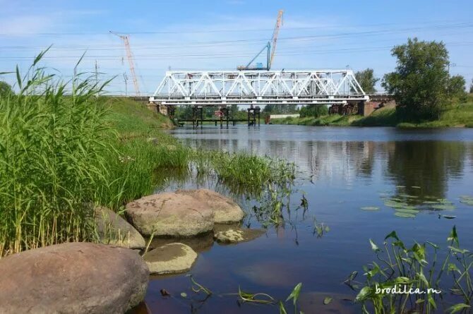 Никольское река. Река Тосна Никольское. Река Тосно рыбалка. Река Тосно Отрадное. Река Тосна рыбалка.