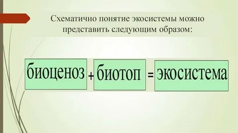 Как определить вид экосистемы