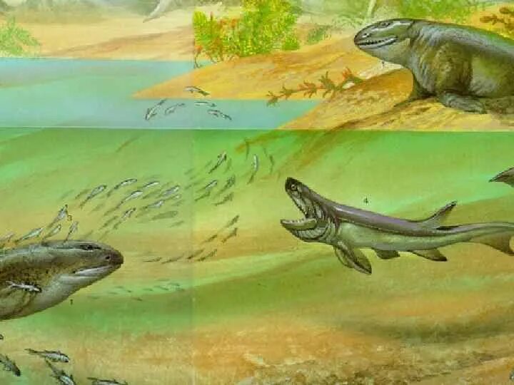 Жизнь в воде эволюция. Девонский период палеозойской эры. Девонский период палеозойской эры животные. Палеозойская Эра Девонский период рыбы. Палеозой Эра силурийский период.
