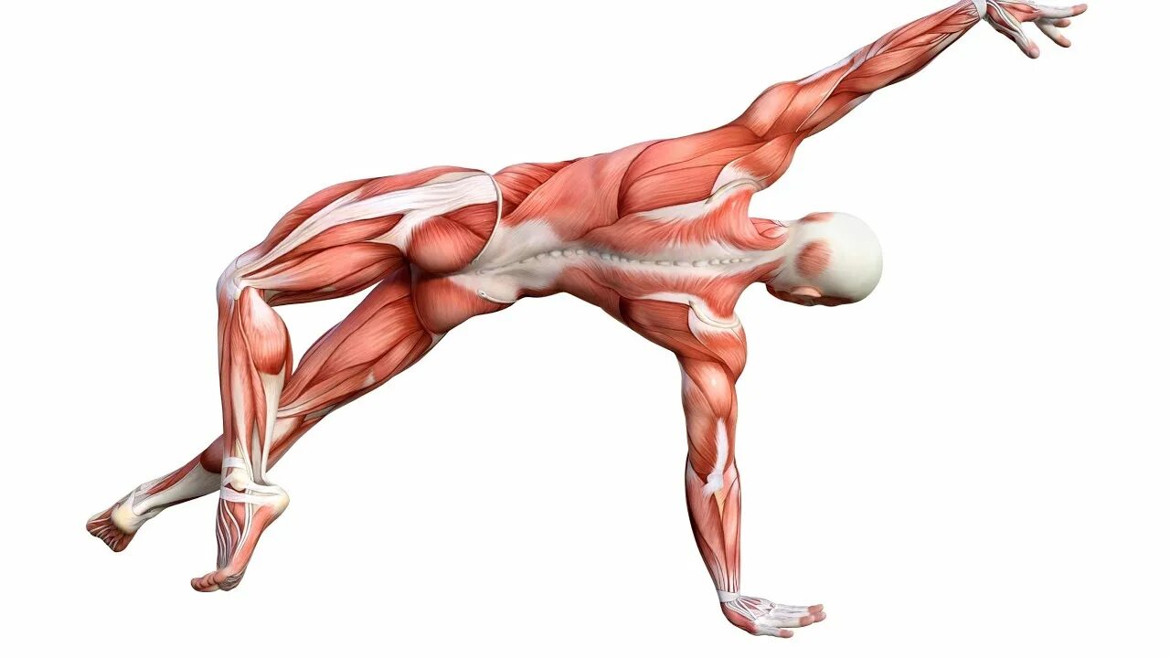 Nelson position