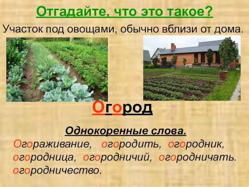 Слова на тему огород. Слова на тему огород. Слова на тему огород. Средний род овощи. Загадки про огород.