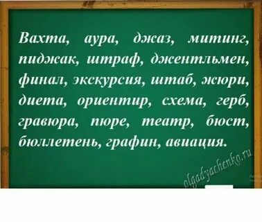 Из какого языка пришло слово пиджак
