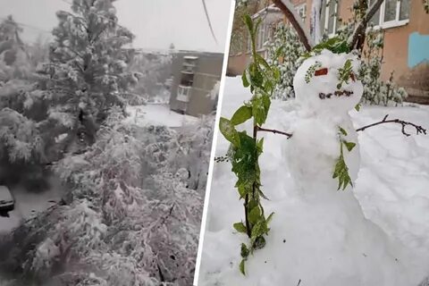 В январе обильный снегопад накрыл москву белым