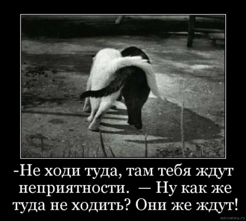 Ничего там не вижу. Там тебя ждут одни неприятности. Не ходи тебя там ждут неприятности. Тебя там ждут неприятности но они же ждут. Ты туда не ходи там тебя ждут неприятности.