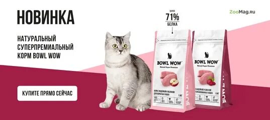 Bowl wow корма для кошек. Bowl wow корм баннер. Bowl wow корм для собак. Bowl wow влажный корм. Купить корм для кошки wow