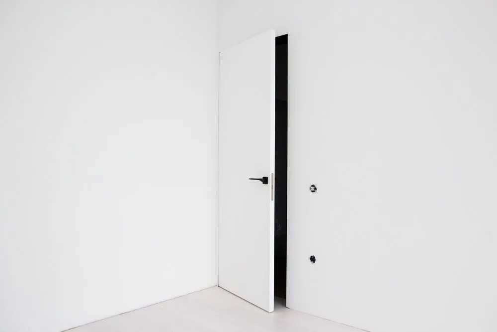 Дверь со стороны. Двери скрытого монтажа 650 мм. Двери Дориан скрытого монтажа коробка. Черная дверь скрытого монтажа. Белая дверь со скрытым коробом.