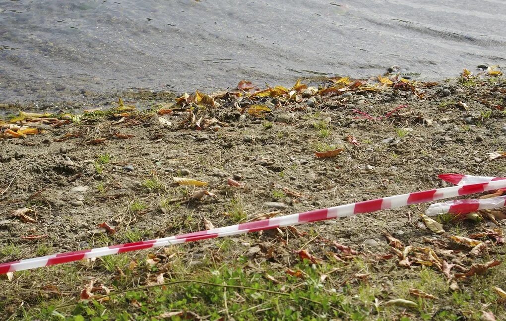 Света утонула. Утонул мальчик в Черемхово. В Мурманской области выпал ребенок. Черемхово озеро.