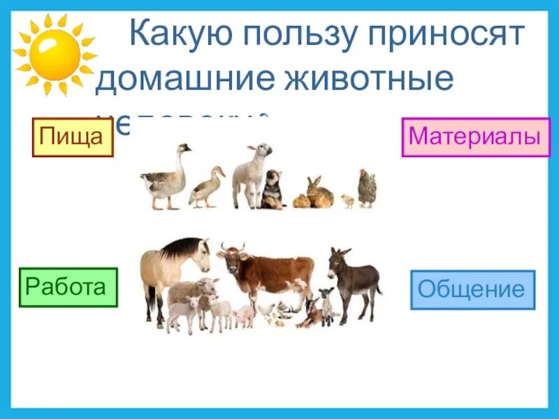 Какую пользу приносит процесс. Дикие и домашние животные. польза домашних животных. модель домашних животных для человека. какую пользу приносят дикие животные человеку.