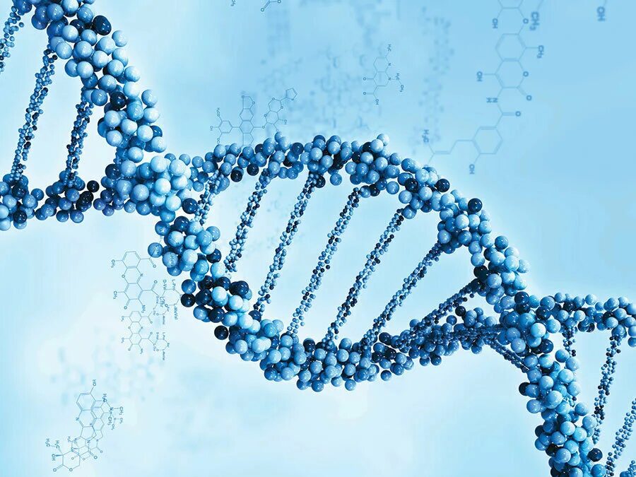 Молекулярная цепочка ДНК. Молекула ДНК гены. ДНК ген геном. Ген цепочка ДНК. Наследственную природу имеют