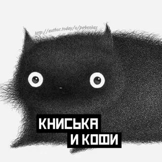 Empty cat