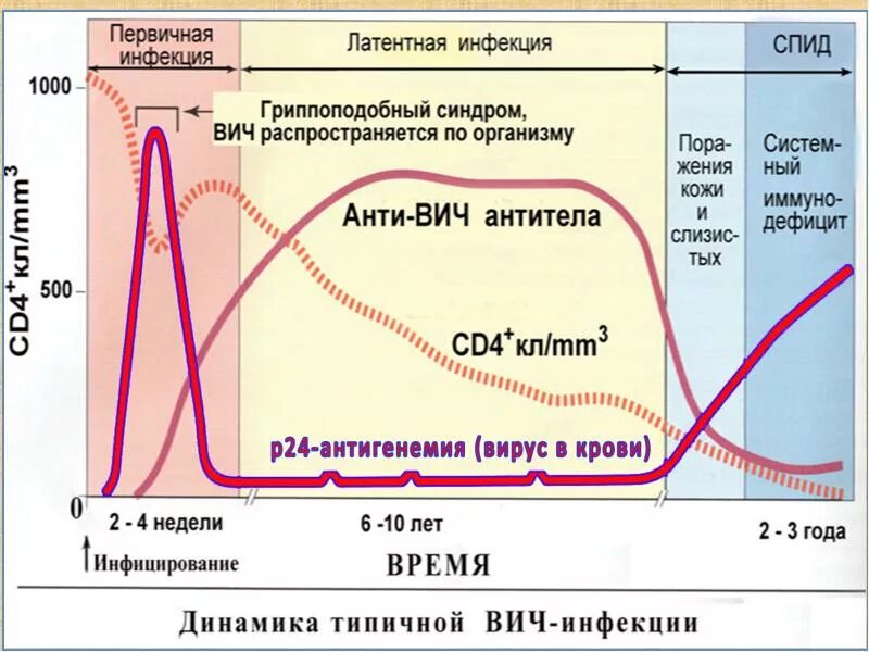 Вирусная нагрузка при вич показатели норма таблица Фотографии НЕОПРЕДЕЛЯЕМАЯ НАГРУЗКА