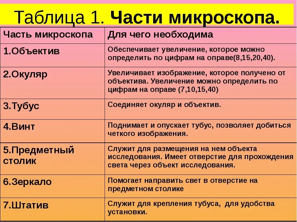 Части микроскопа и их названия и функции. Микроскоп 5 класс биология строение и функции. Строение микроскопа 5 класс биология и их функции. Микроскоп части микроскопа 5 класс. Части микроскопа 5 класс биология таблица.