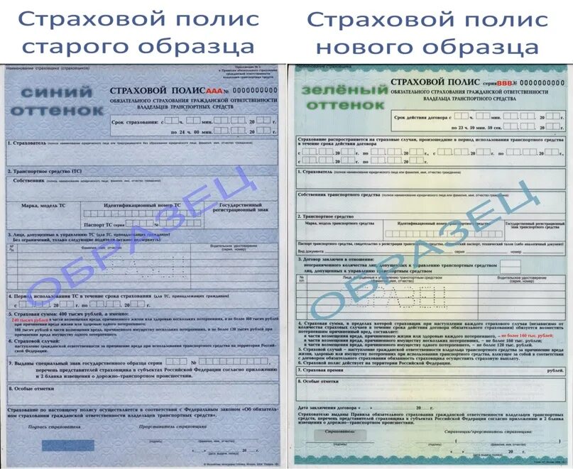 Полис осаго росгосстрах. Страхование автомобиля осаго. Идентификационный номер транспортного средства в страховке. Страховка на шевроле каптива 3. Предыдущие полисы осаго.