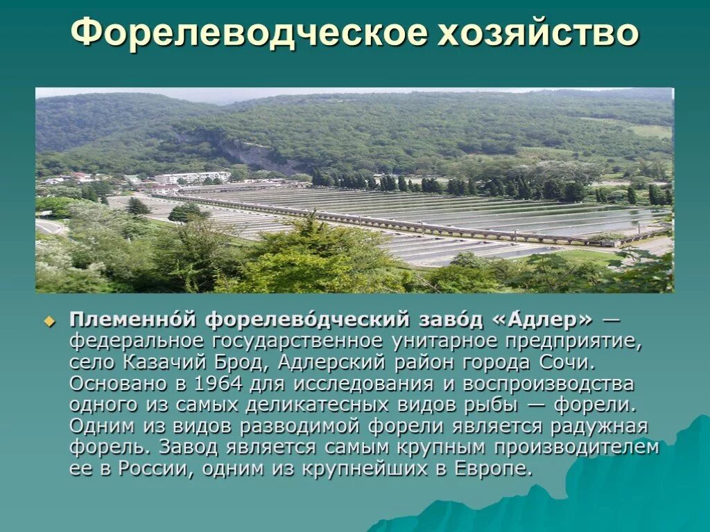 Проект достопримечательности города Сочи. Сочи о городе кратко. Сочи презентация. Город Сочи презентация достопримечательности.