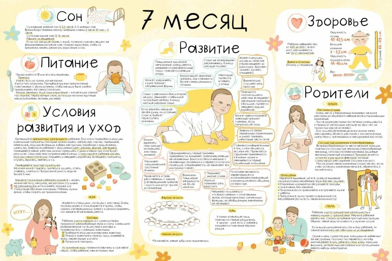 Ребенок год и 5 месяцев развитие. Календарь развития ребенка. Календарь развития младенца. Календарь развития ребенка до года. Календарь по развитию ребенка по месяцам.