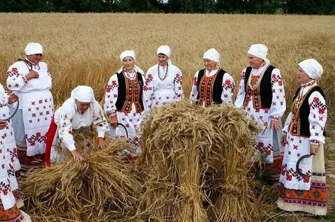 Занятия рб