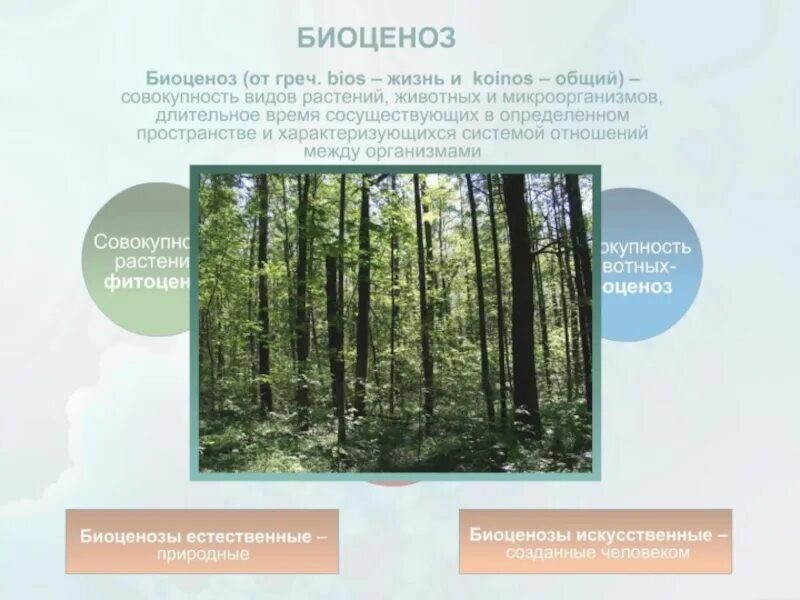 Основные показатели биогеоценоза. Виды биогеоценозов. Биогеоценоз это в биологии. Биогеоценоз характеризуется. Развитие биогеоценозов