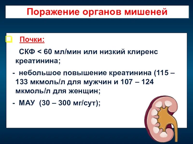 Почки повышенный креатинин