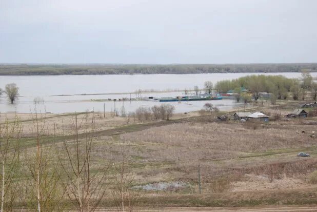 Шелаболихинский Киприно. Село Новообинцево Шелаболихинского района Алтайского края. Алтайский край Шелаболихинский район село Ильинка. Киприно Алтайский край Шелаболихинский район. Погода ильинка алтайский край