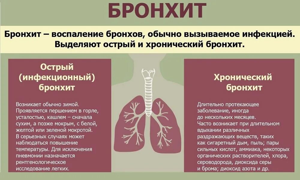 Бронхит у взрослых сколько времени. Профилактика заболеваний органов дыхания острый бронхит. Острый хронический бронхит клинические симптомы. Острыйси хронический бронхит. Симптомы поражения бронхов при остром бронхите.