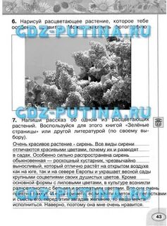 Решебник окружающий мир 2 класс плешаков новицкая