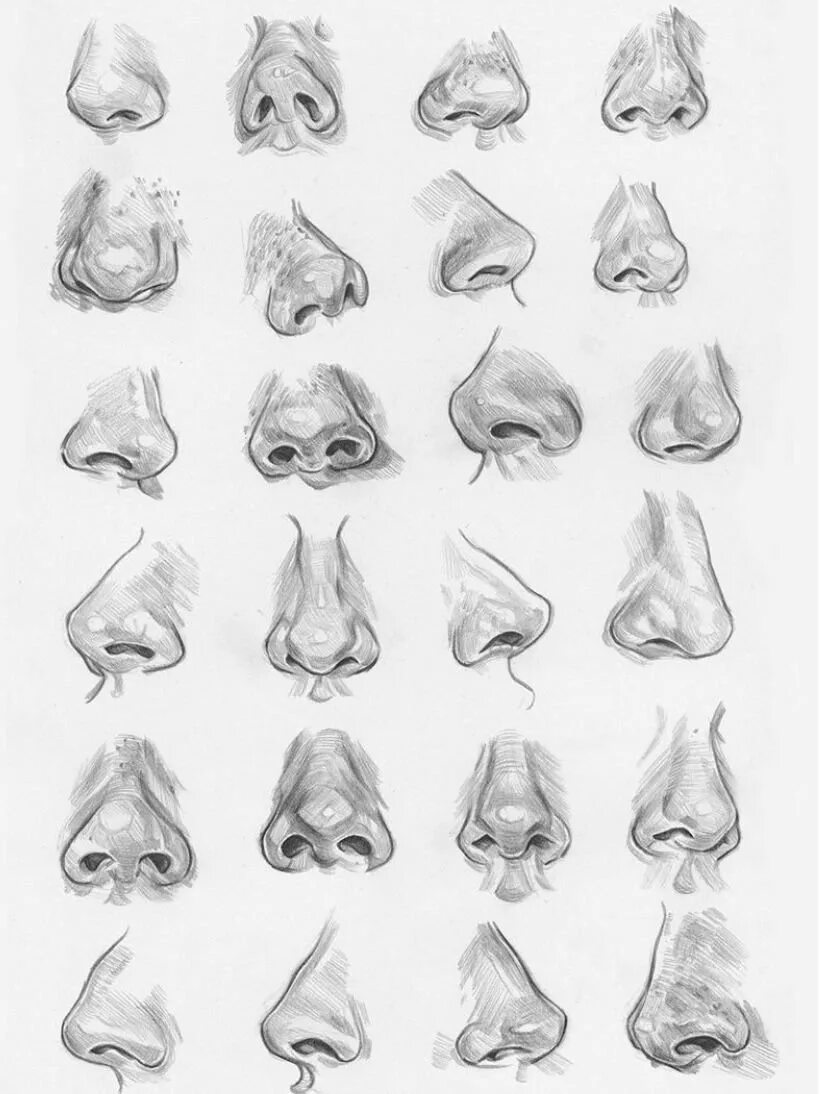 Нос анатомия референс. Нос 3/4 референс. Нос снизу вверх референс. Рисование носа с разных ракурсов.