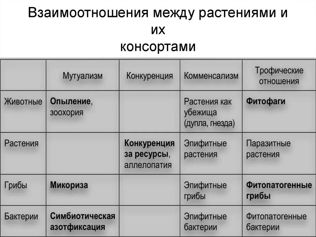 Виды взаимодействия растений. Взаимодействие между растениями. Типы взаимоотношений между растениями. Взаимоотношения растений. Типы отношений между растениями