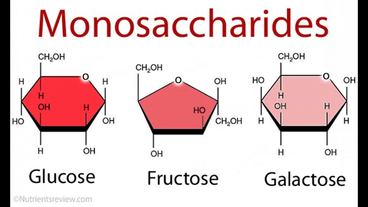 Monosaccharides. Моносахариды Глюкоза фруктоза галактоза. Глюкоза фруктоза галактоза. Фруктоза это моносахарид.