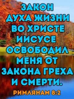 Закон духа жизни
