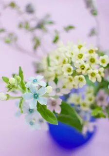 Нежная 50