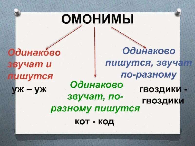 Одинаково звучат и пишутся. Слова которые одинаково звучат и пишутся. Омонимы одинаково звучат пишутся по разному. Слова звучат одинаково но пишутся по разному. Слова которые звучат одинаково но имеют разное