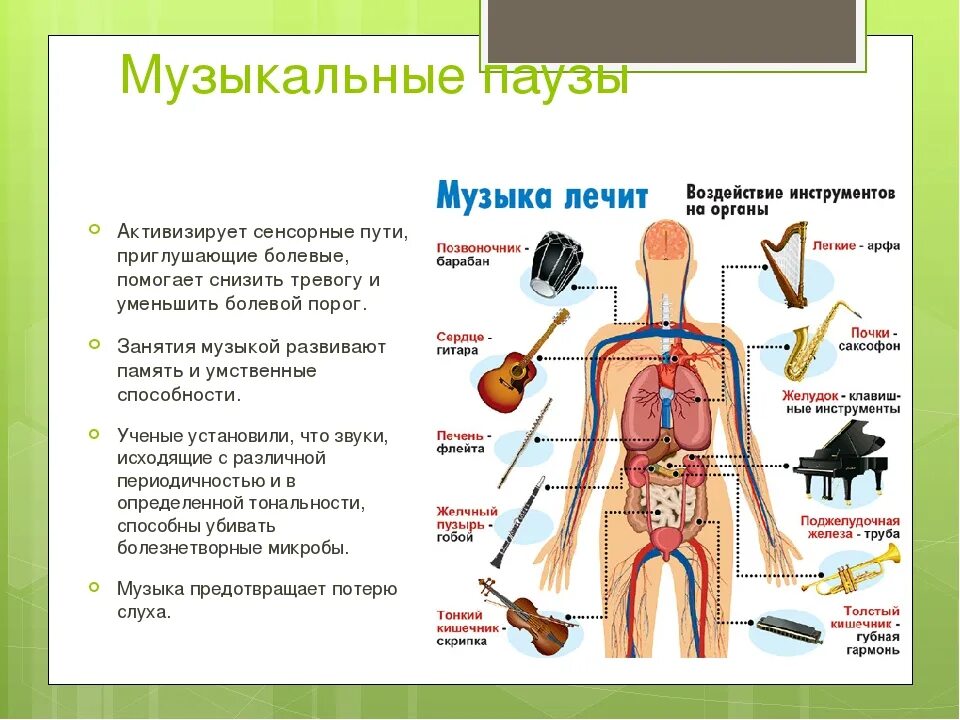 Влияние инструментов на органы. Влияние музыкальных инструментов на организм человека. Воздействие музыкальных инструментов на органы человека. Орган с человеком музыкальный инструмент. Звук организма слушать