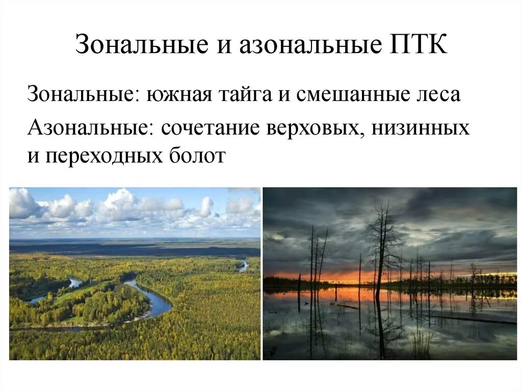 Азональные природно-территориальные комплексы России. Зональнве природнотерриториалные комплексы. Азональные природные комплексы. Зональный и азоналтные ПТК. Природно территориальный комплекс тайга