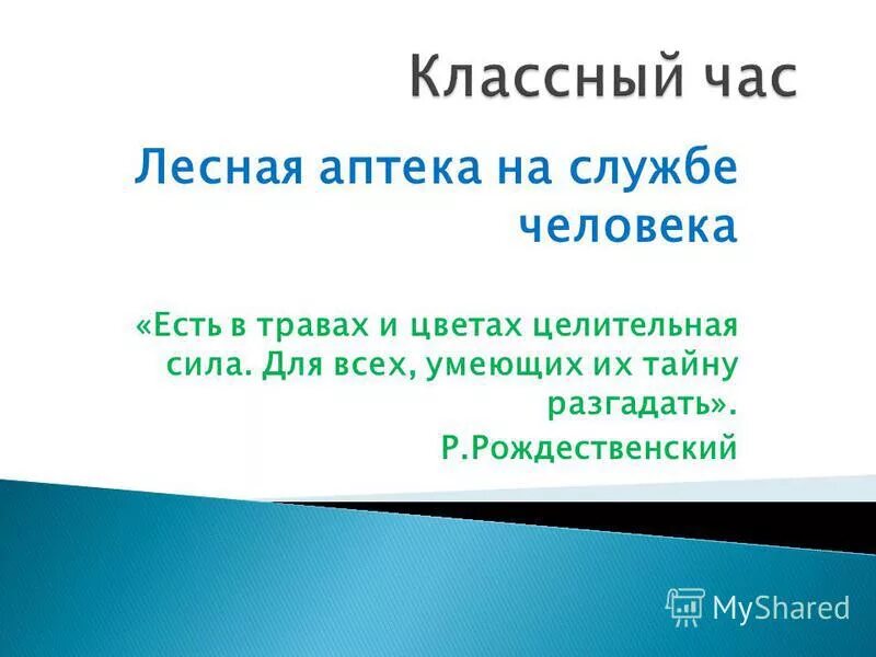 лес это первая аптека. расписание детского врача. лесная аптека. аптеки лесной график работы. прием анализов детская поликлиника.