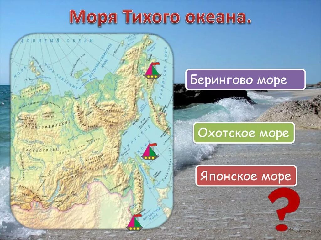 Назови три моря россии. Моря Тихого океана. Моря Тихого моря Тихого океана. Моря которые принадлежат тихому океану. Моря которые входят в тихий океан.