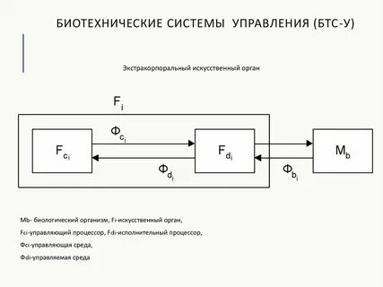 Биотехнические системы медицинского назначения