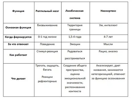 Теория мозга