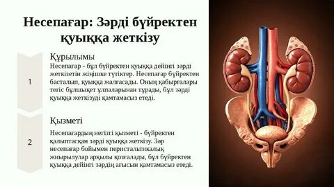 Ресейдегі топтық порно кештер