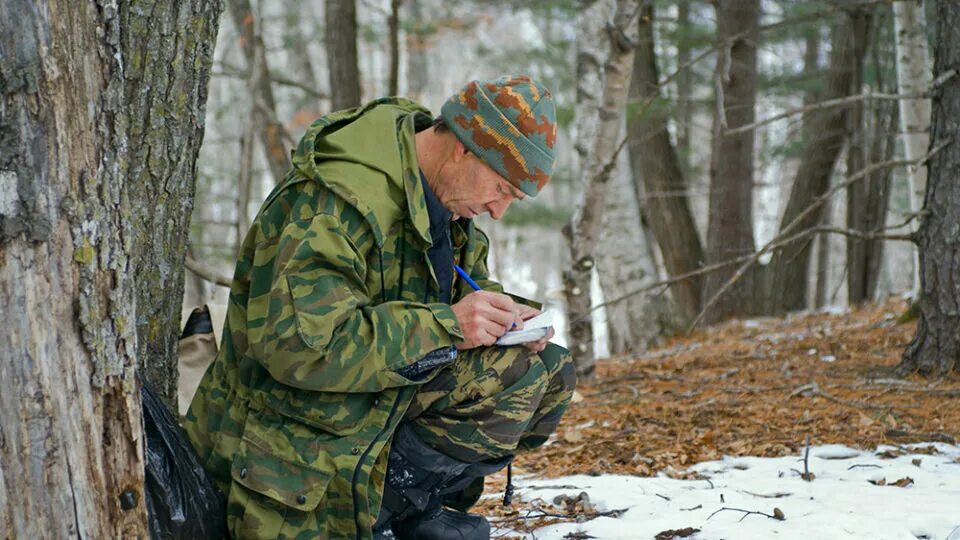 Как изменилась охота. Охота в лесу. лесной охотник. охотничий инспектор. зимний учёт диких животных.