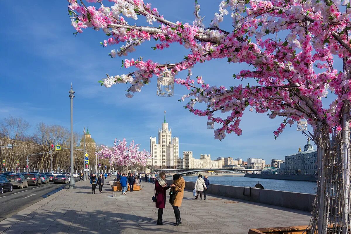 Красивые места в москве весной. Донецк Цветущая набережная. Весенняя Москва.