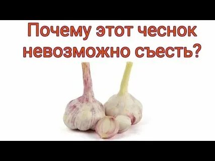 Съесть чеснок натощак