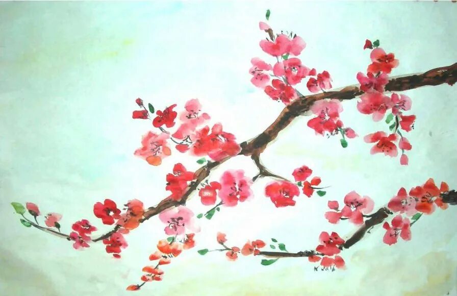 Изо сакура. Сакура рисунок. Ветка Сакуры изо. Рисование цветущей ветки. Рисование цветущей Сакуры.